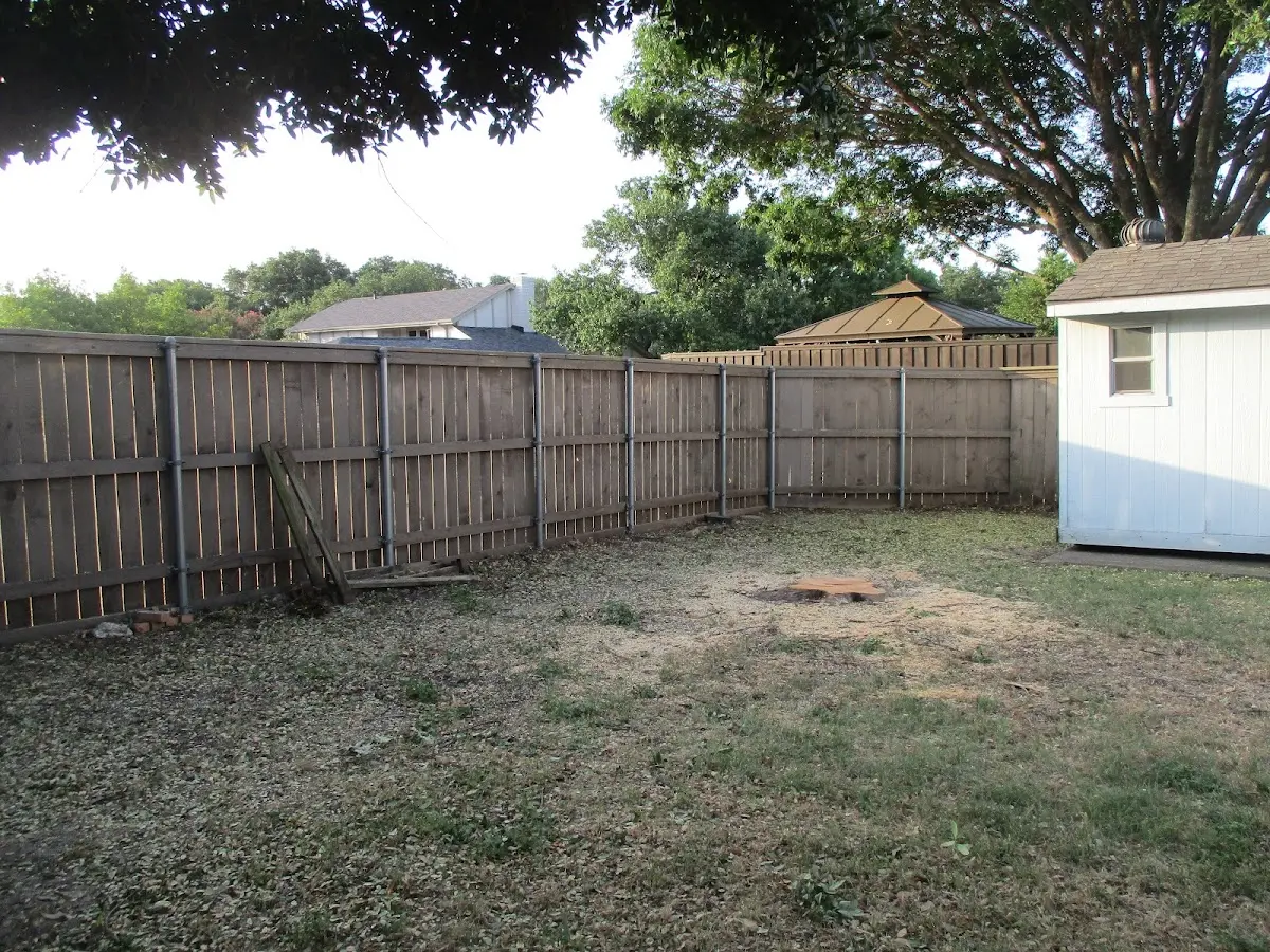 Cleared yard after professional tree removal in Wellesley Hills